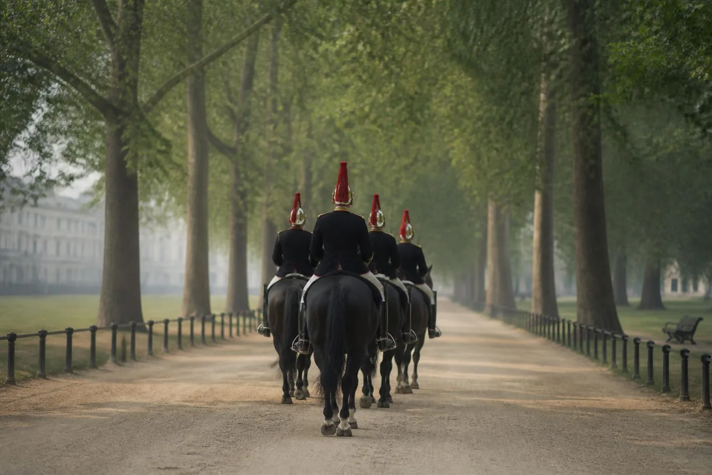 Quatre chevaux noirs de la garde montée vus de dos sur une allée de parc londonien bordée de platanes
