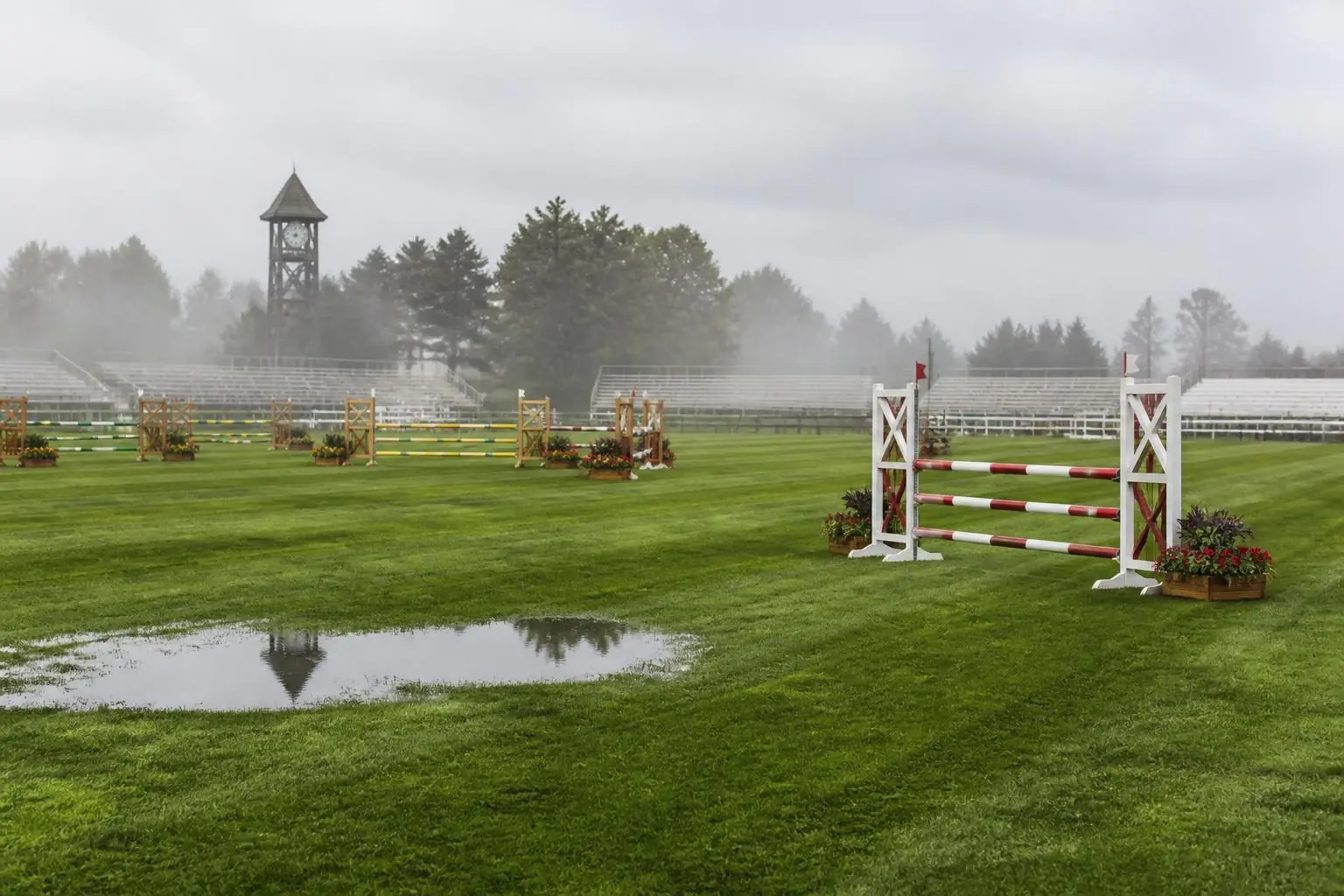 Piste de saut en herbe déserte au petit matin, obstacles fleuris, tribunes vides et tour d'horloge dans la brume