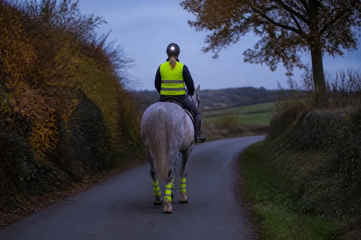 Cavalière vue de dos en gilet fluorescent sur un cheval gris aux guêtres jaunes, petite route de campagne au crépuscule