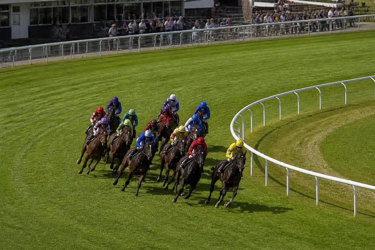Un peloton de chevaux de course serré à la corde dans le virage très fermé d'un petit hippodrome en herbe