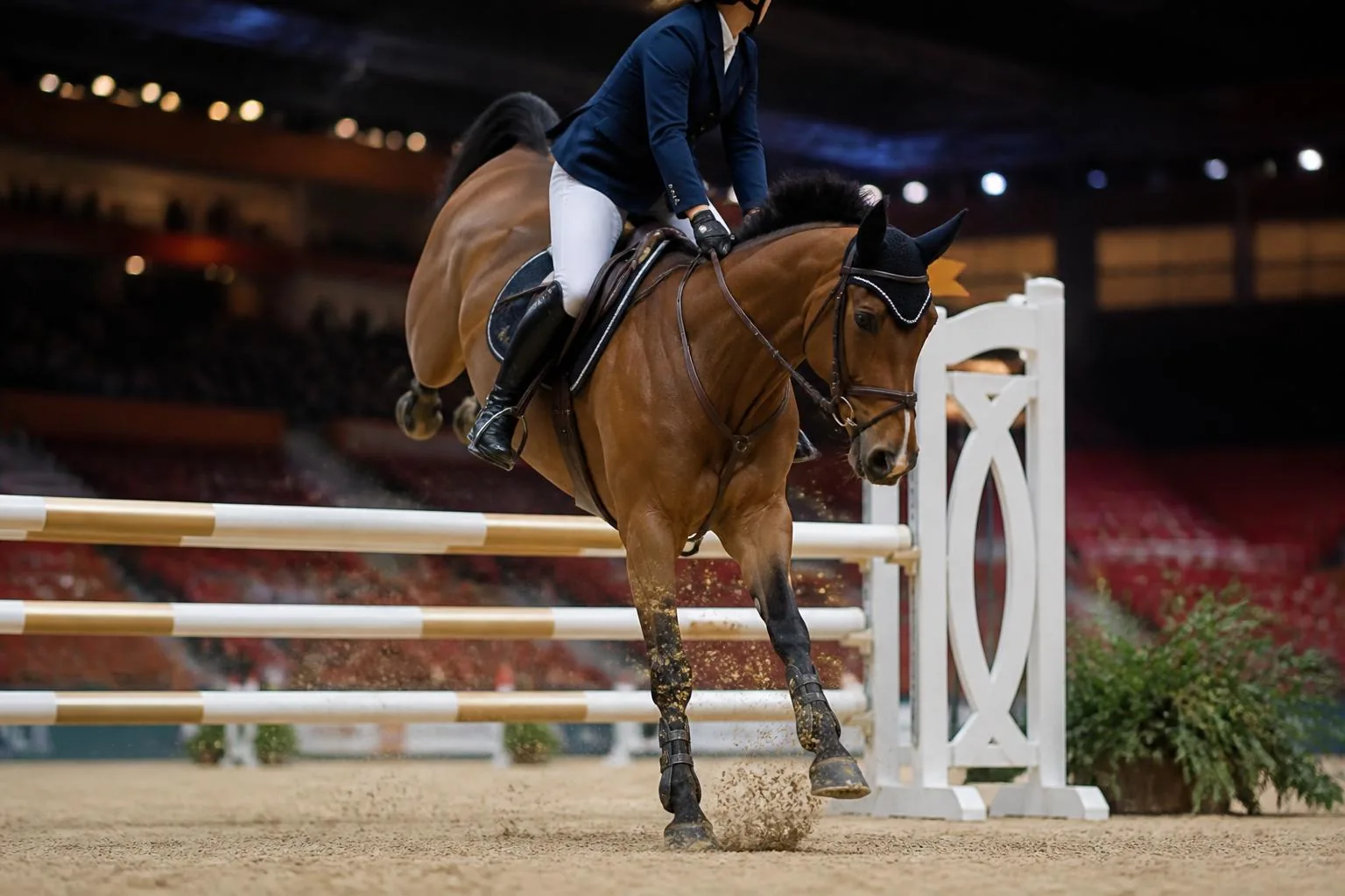 Cheval bai à la réception d'un obstacle dans une carrière couverte, sable soulevé, comme au barrage d'une Coupe du monde