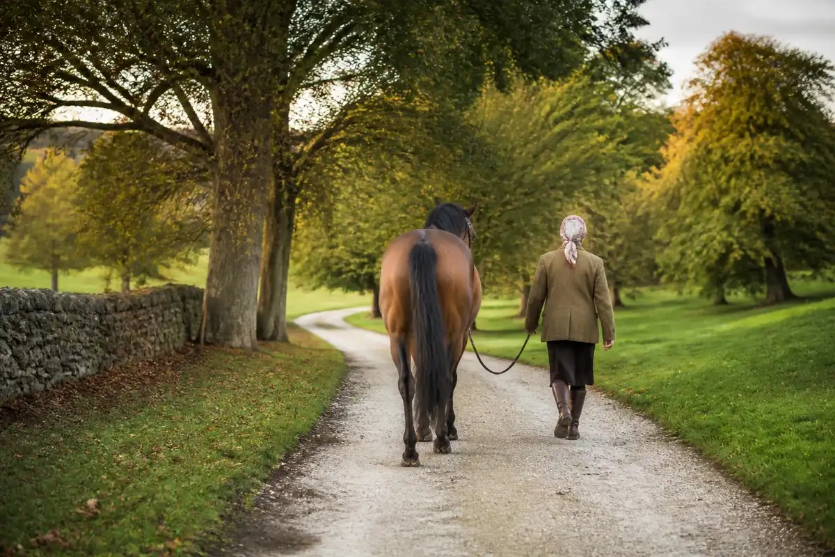 Une femme âgée en veste de tweed et foulard, vue de dos, mène un cheval bai en longe sur une allée de campagne anglaise