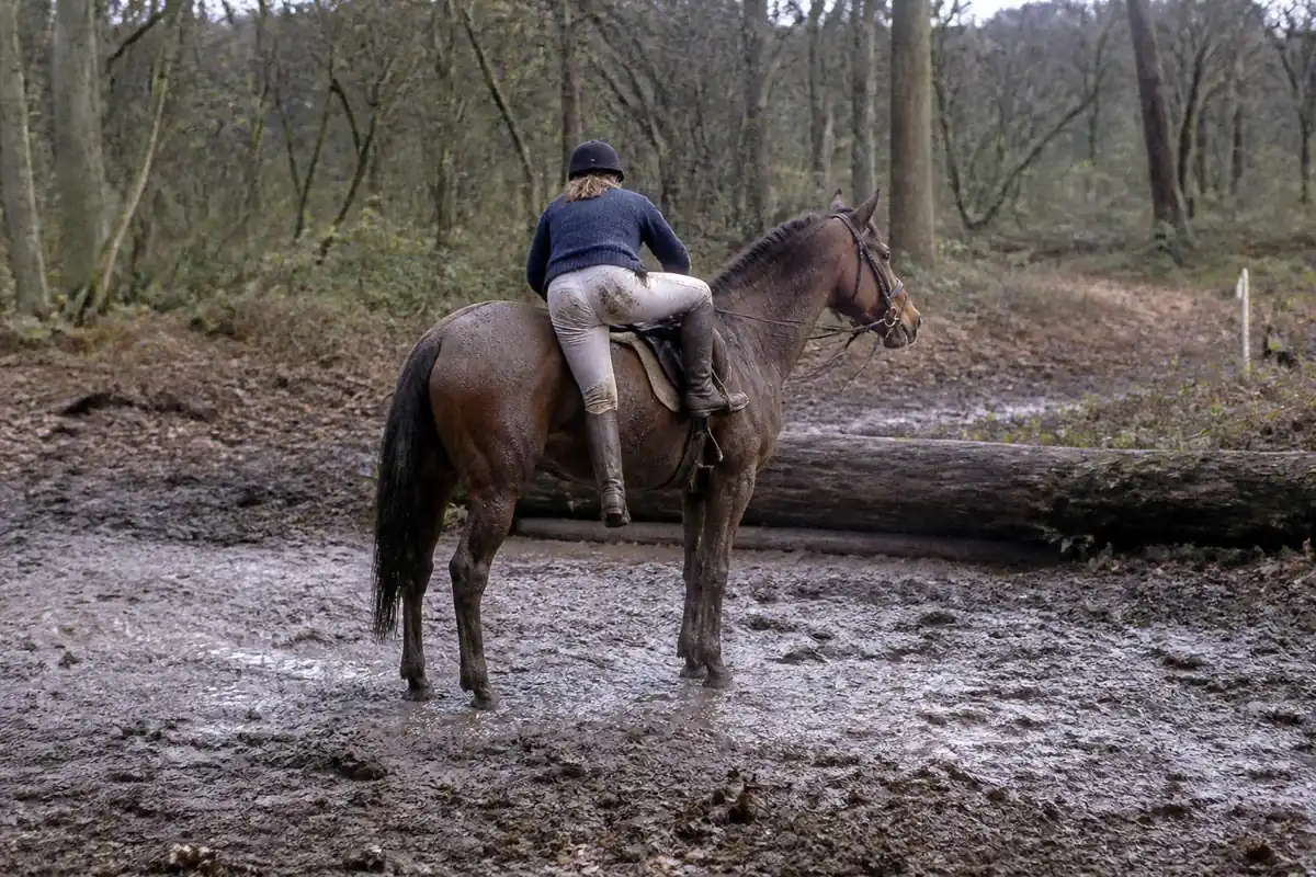 Une cavalière couverte de boue, de dos, remonte sur un cheval bai arrêté devant un tronc d'arbre, sur un cross en forêt