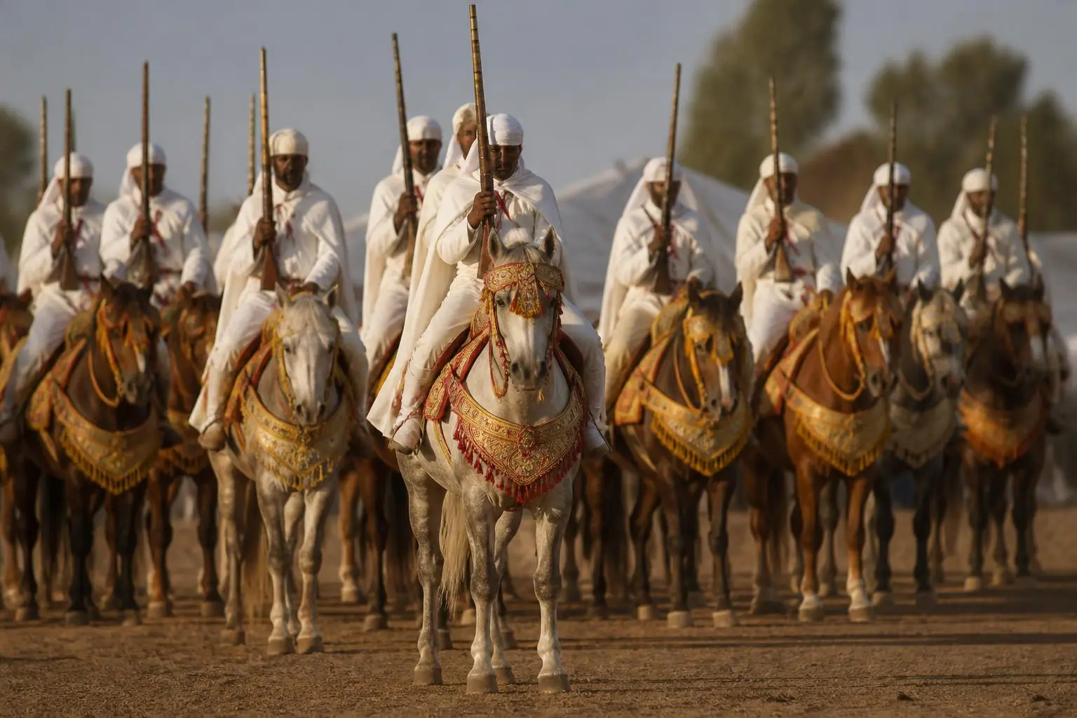 Une sorba de cavaliers en selham blanc alignée à l'arrêt, fusils dressés, sur des chevaux barbes aux selles brodées