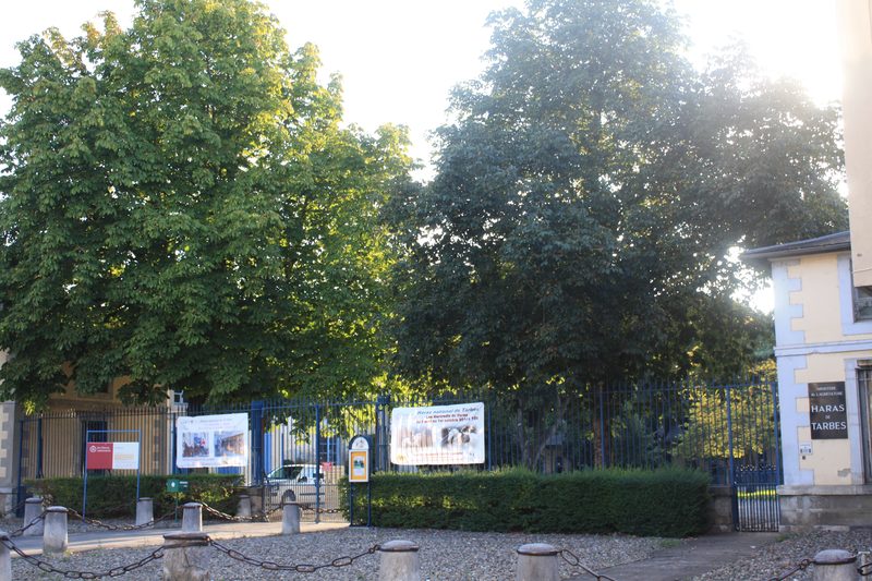 Haras national de Tarbes