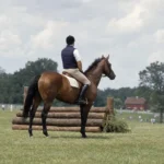 Superman paralysé par une chute de cheval : pourquoi Christopher Reeve n&rsquo;a jamais accusé Buck