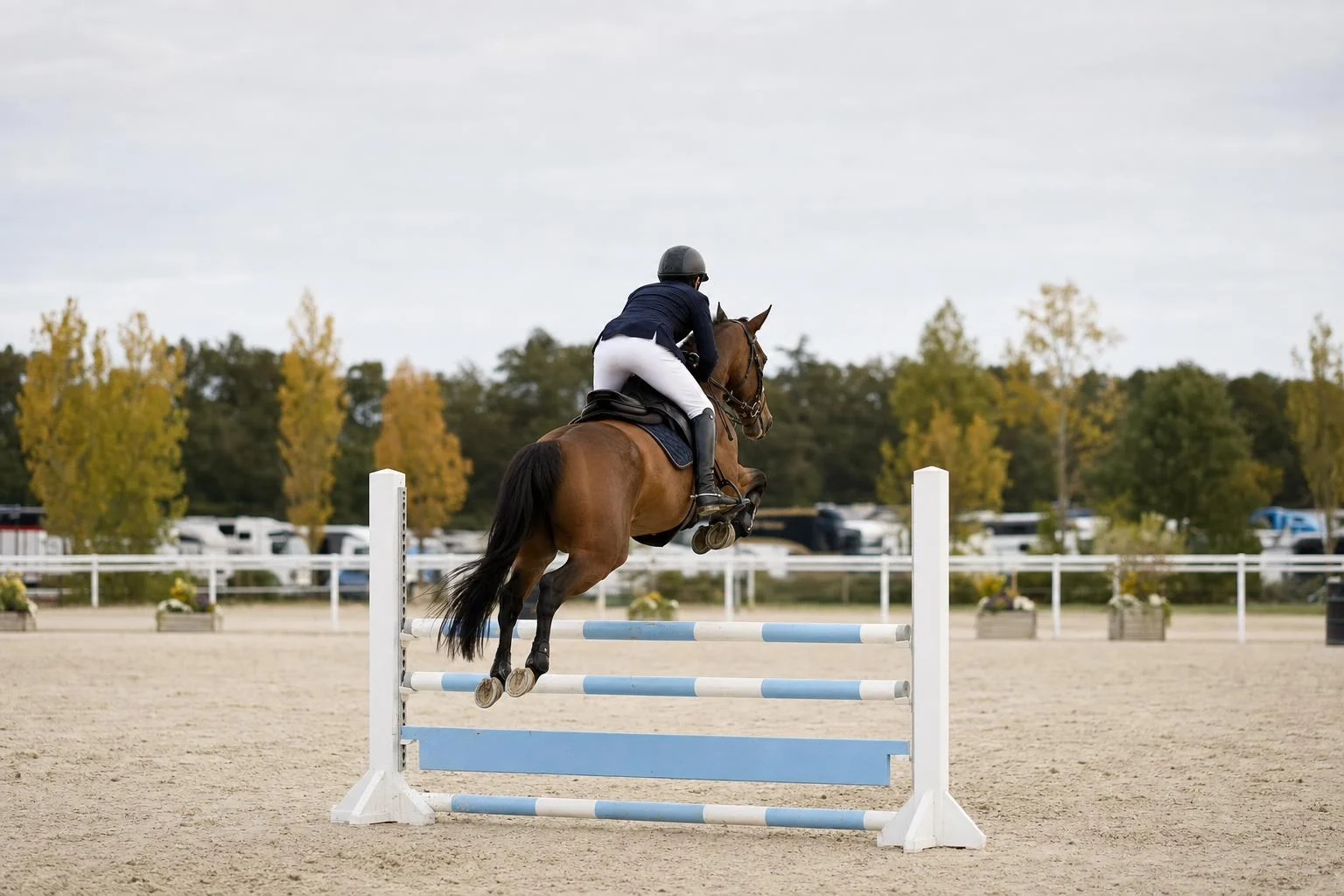 Cheval bai et cavalier casque vus de trois quarts arriere franchissant un obstacle blanc sur une carriere de sable