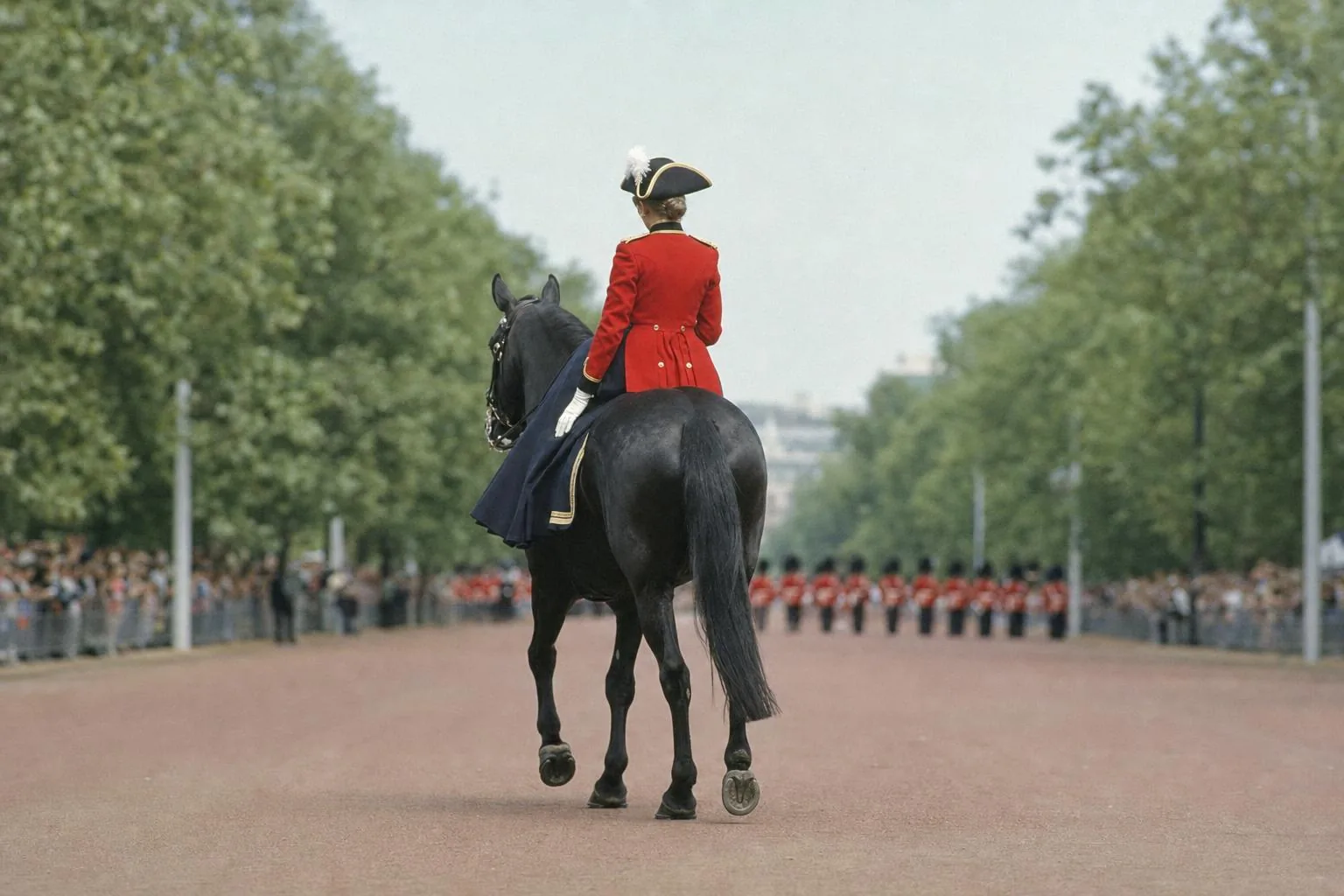 Cavalière en tunique rouge et tricorne, en amazone sur une jument noire vue de dos, avenue bordée d'arbres et de gardes