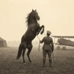 Le cheval cabré de Ferrari vient d’un cavalier abattu en 1918 : pourquoi sa mère l’a donné à Enzo