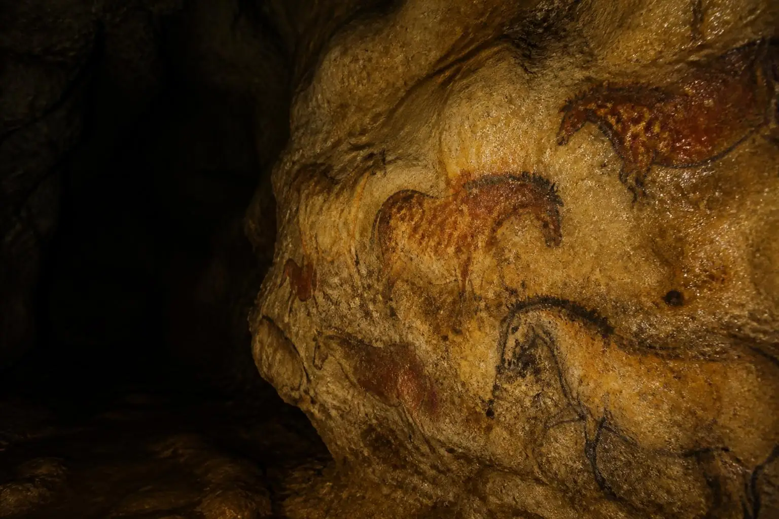 Paroi calcaire de grotte éclairée par une lampe, couverte de chevaux peints à l'ocre et au charbon