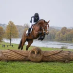 Mondial du Lion : 3 des 5 chevaux de l’équipe de France aux Mondiaux ont couru ce cross à 7 ans