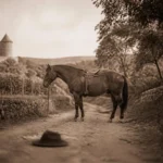 Percuté à toute bride par un domestique, cru mort deux heures : la chute de cheval de Montaigne