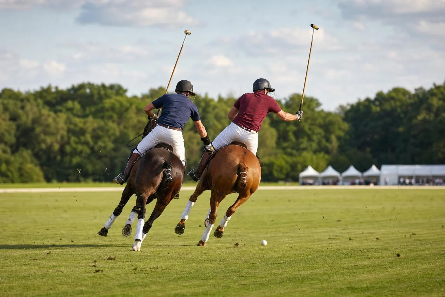 Deux joueurs de polo vus de dos au galop côte à côte, maillets levés vers la balle, poneys bandés, forêt et tentes blanches
