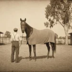 Pourquoi le corps de Phar Lap, le cheval empoisonné à l’arsenic, est exposé dans trois musées