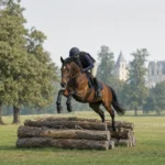 550 jeunes chevaux de complet au haras royal de Pompadour : entrée gratuite du 16 au 20 septembre