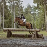 JO 1976 : pourquoi la princesse Anne, sur le cheval de la reine, fut la seule sans test de féminité