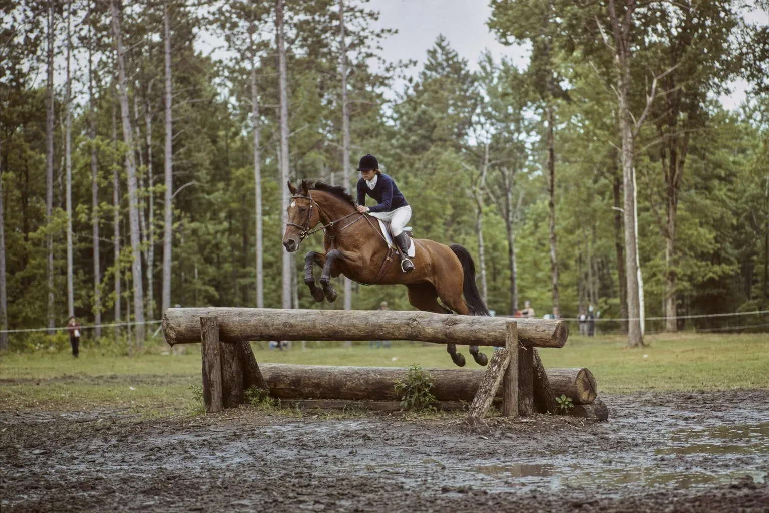 Cavalière de concours complet sur un cheval bai en plein saut au-dessus d'un tronc, sur un cross boueux en forêt
