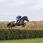 Velká pardubická 2026 : une demi-longueur prive Godfrey et Faltejsek du record de Josef Váňa