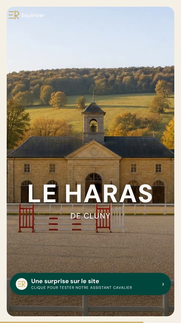 Vidéo Equirider : Championnat de France Majors à Cluny : le CSO où aucun cavalier n’a moins de 40 ans