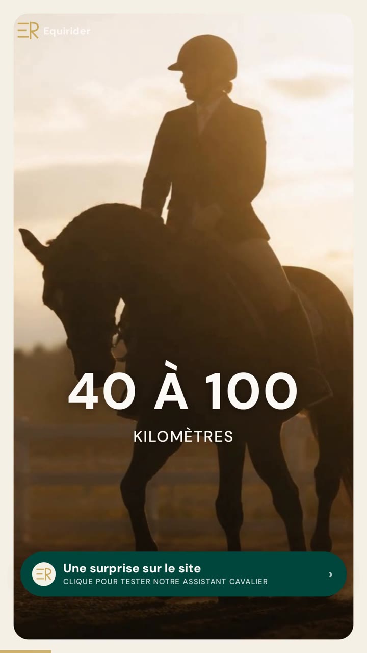 Vidéo Equirider : Grande Semaine d&rsquo;endurance : à Lignières, un jeune cheval trop rapide ne sera pas classé