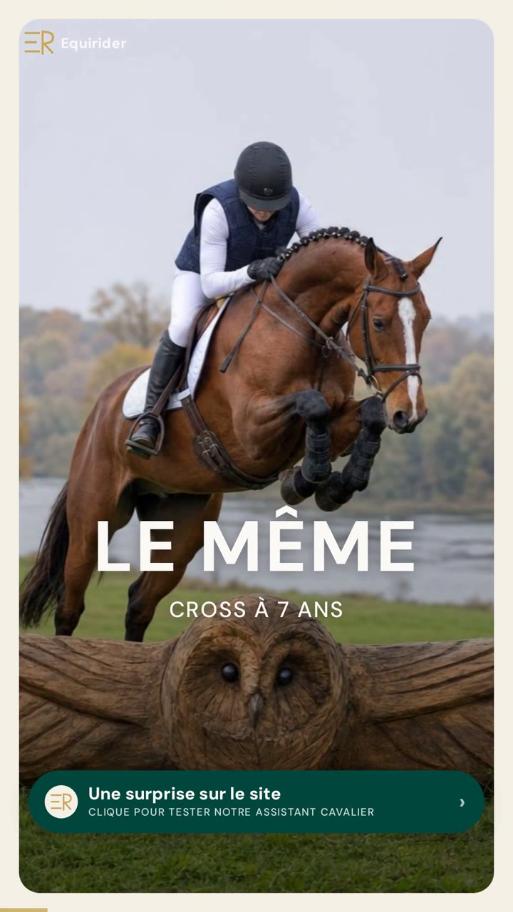 Vidéo Equirider : Mondial du Lion : 3 des 5 chevaux de l&rsquo;équipe de France aux Mondiaux ont couru ce cross à 7 ans