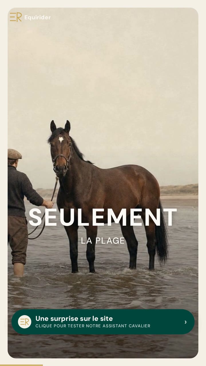 Vidéo Equirider : Red Rum, cheval boiteux du Grand National : pourquoi un vendeur de voitures le soignait dans la mer