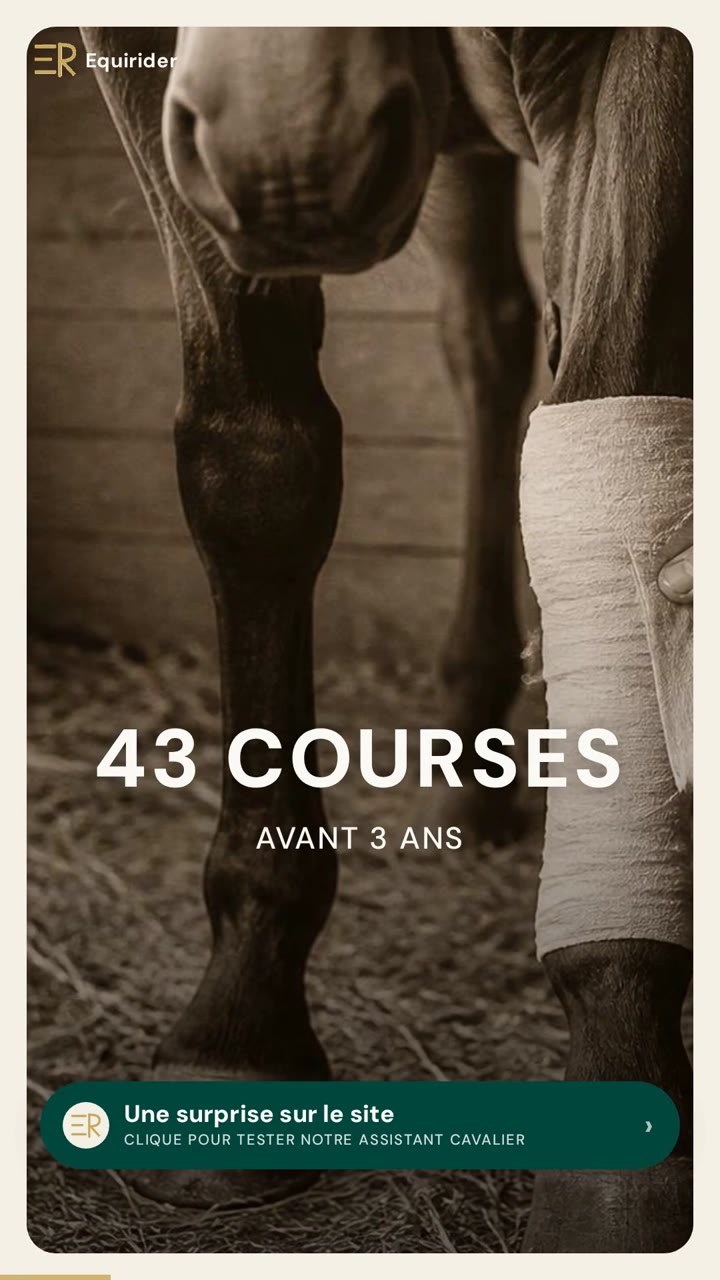Vidéo Equirider : Seabiscuit, plus cité que Roosevelt en 1938 : son jockey cachait qu&rsquo;il était aveugle d&rsquo;un œil
