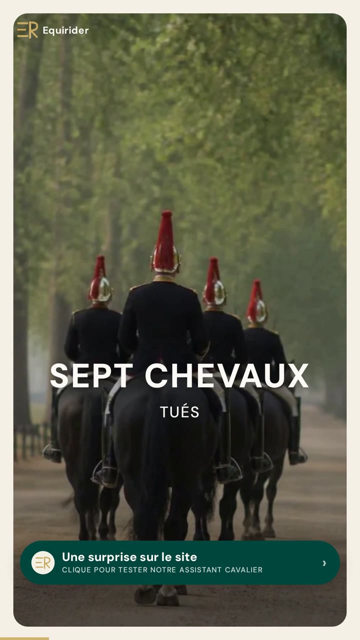 Vidéo Equirider : Bombe de Hyde Park : huit heures de chirurgie, et pourquoi le cheval Sefton est reparti défiler