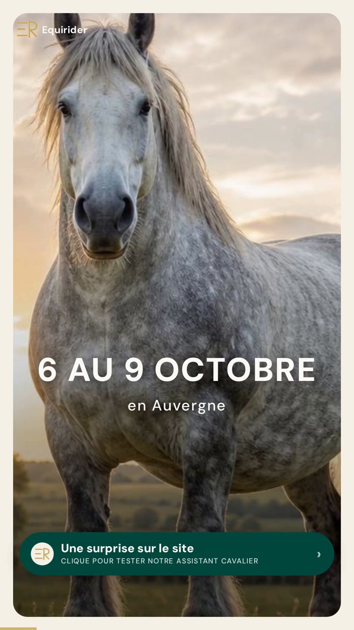 Vidéo Equirider : Pas vacciné, pas de concours : 300 chevaux de trait attendus au Sommet de l&rsquo;Élevage le 6 octobre