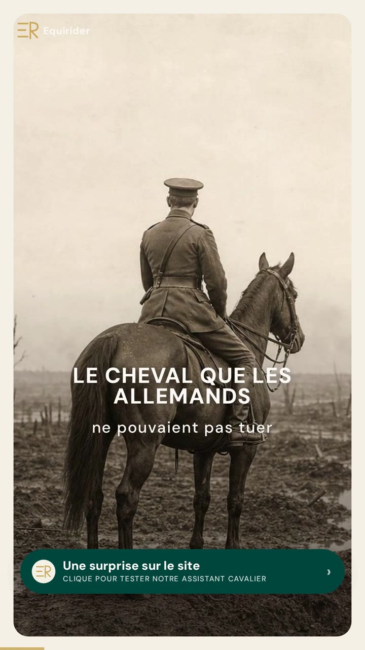 Vidéo Equirider : Warrior, le vrai « Cheval de guerre » : pourquoi les Allemands n&rsquo;ont jamais réussi à le tuer