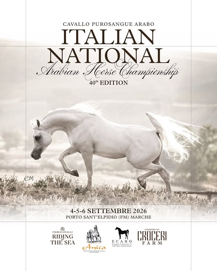 Affiche officielle : Italian National Arabian Horse Championship : la 40e édition à Porto Sant’Elpidio