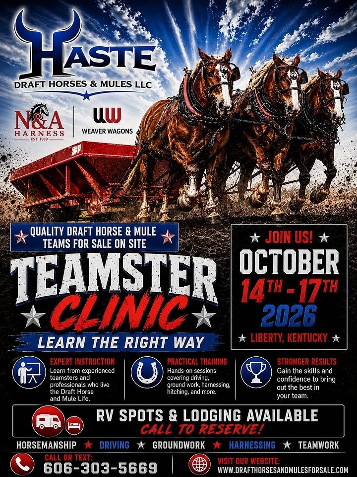 Affiche officielle : Teamster Clinic : quatre jours d’attelage trait et mules dans le Kentucky en octobre