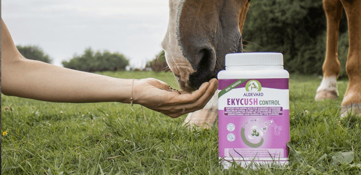 Pot de complément Audevard Ekycush Control posé dans l'herbe, chevaux au pré qui mangent dans la main