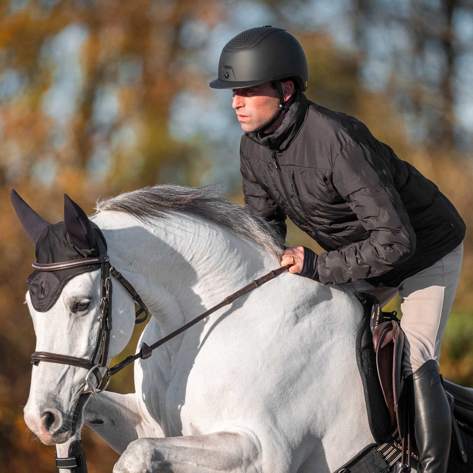 Cavalier casqué Back on Track Strixx en plein saut sur un cheval gris, lumière d'automne