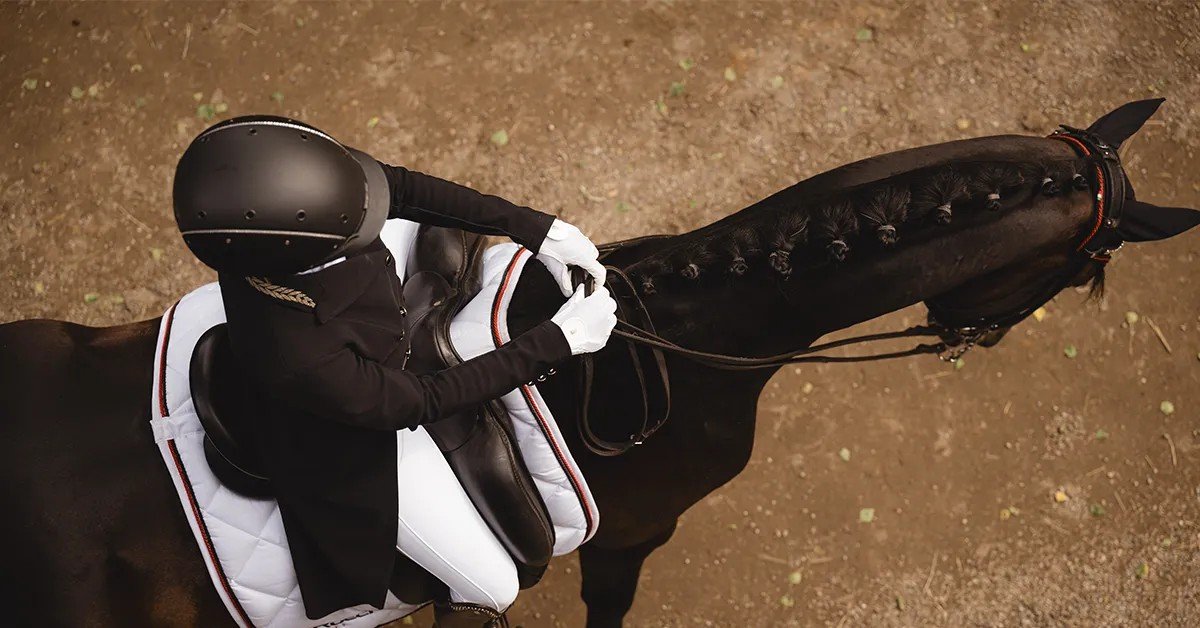 Cavalière en tenue de concours casquée CASCO, vue plongeante sur un cheval noir tressé