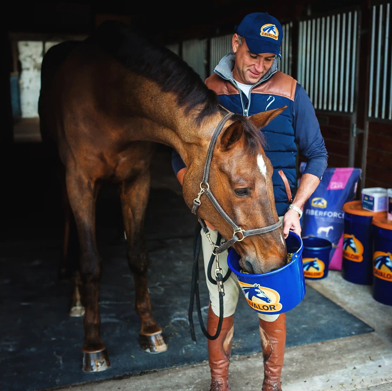 Un soigneur en casquette Cavalor donne a manger a un cheval bai dans un seau Cavalor, sacs de la marque en