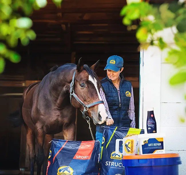 Une cavaliere en tenue Cavalor prepare la ration de son cheval devant le box, entouree de produits Cavalor