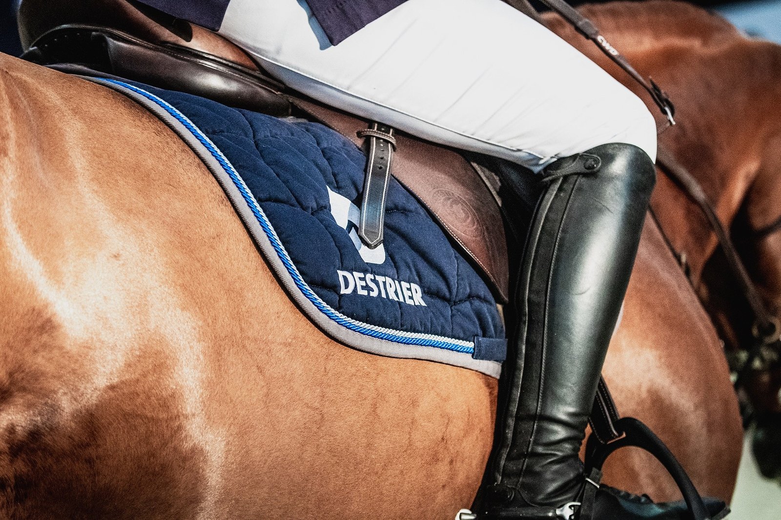 Cavalier en botte noire sur un cheval bai portant un tapis de selle bleu marine brode DESTRIER