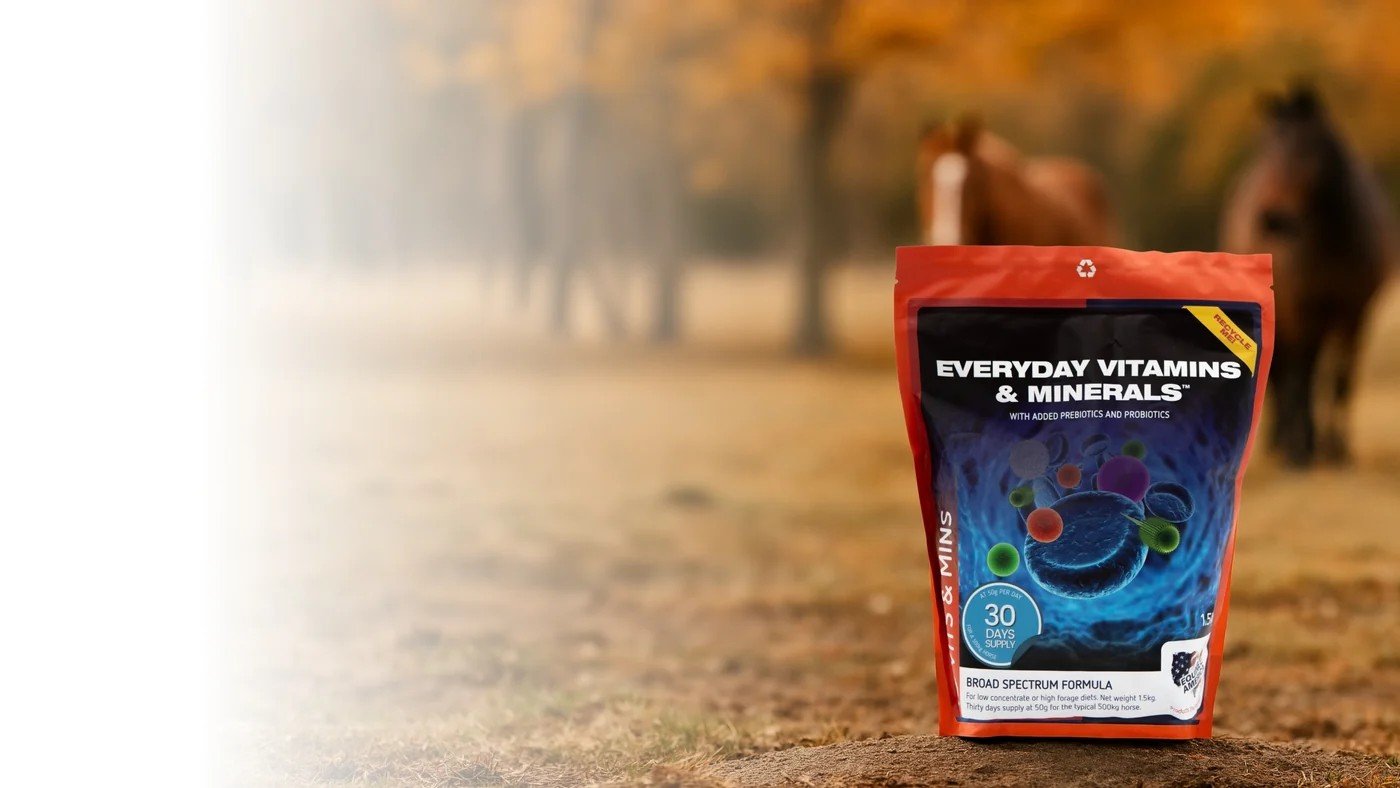 Sachet Equine America Everyday Vitamins & Minerals au sol, chevaux en arrière-plan dans une allée d'automne