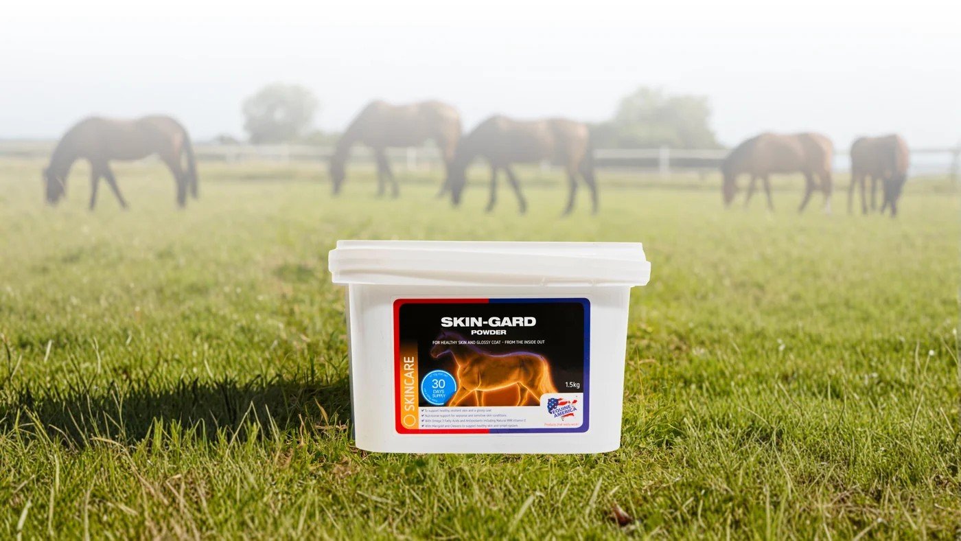 Seau de complément Equine America Skin-Gard posé dans un pré, chevaux au pâturage en arrière-plan
