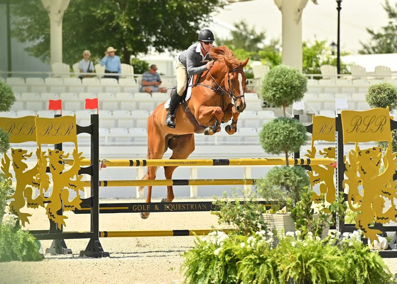 Cavalier casqué en saut d'obstacles en concours, obstacle décoré et tribune en arrière-plan