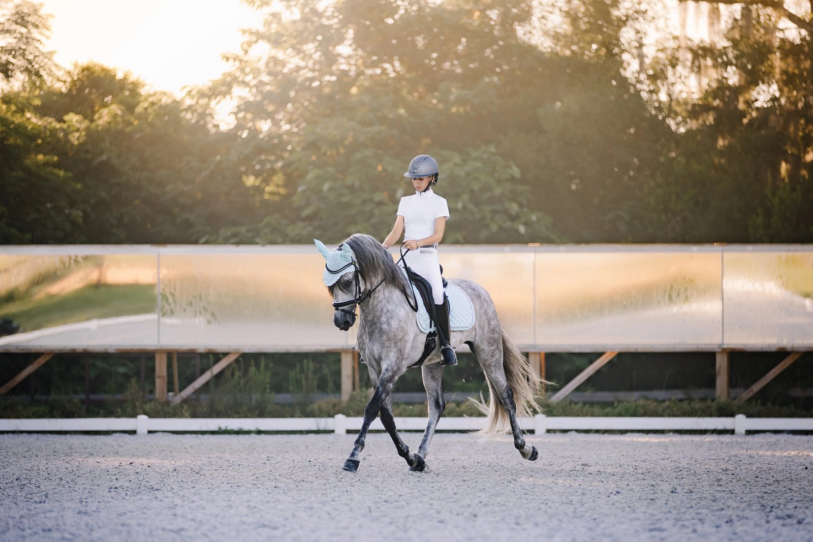 Cavalière portant un casque One K en dressage sur un cheval gris pommelé, lumière de fin de journée