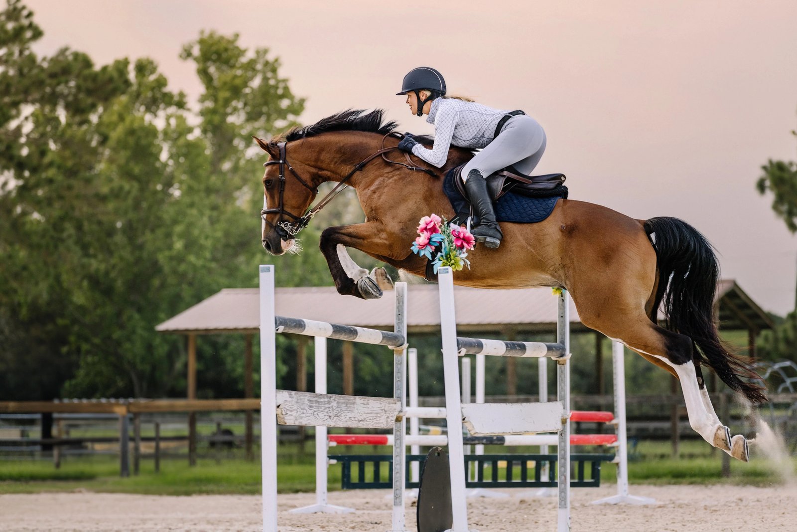 Cavalière casquée One K franchissant un obstacle sur une jument baie, carrière d'entraînement