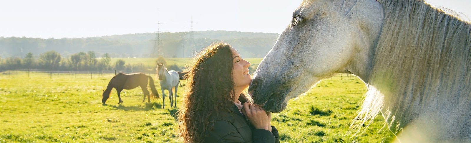 Cavalière souriante joue contre le chanfrein d'un cheval gris dans un pré, chevaux au pâturage derrière