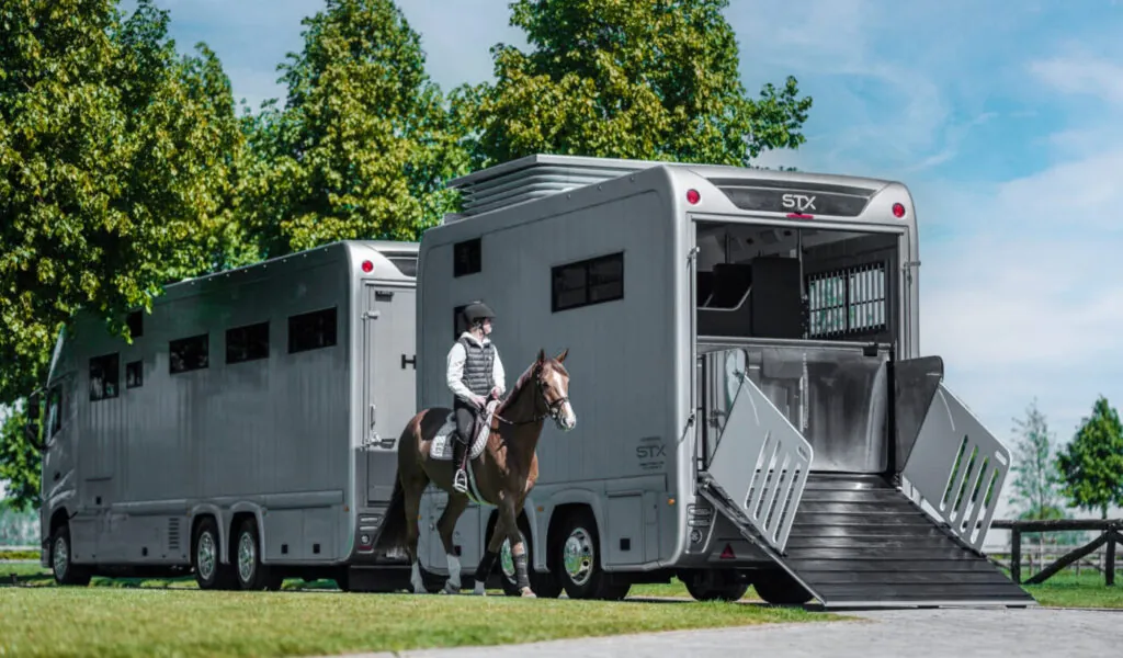 Camion STX Horseboxes Wijnegem
