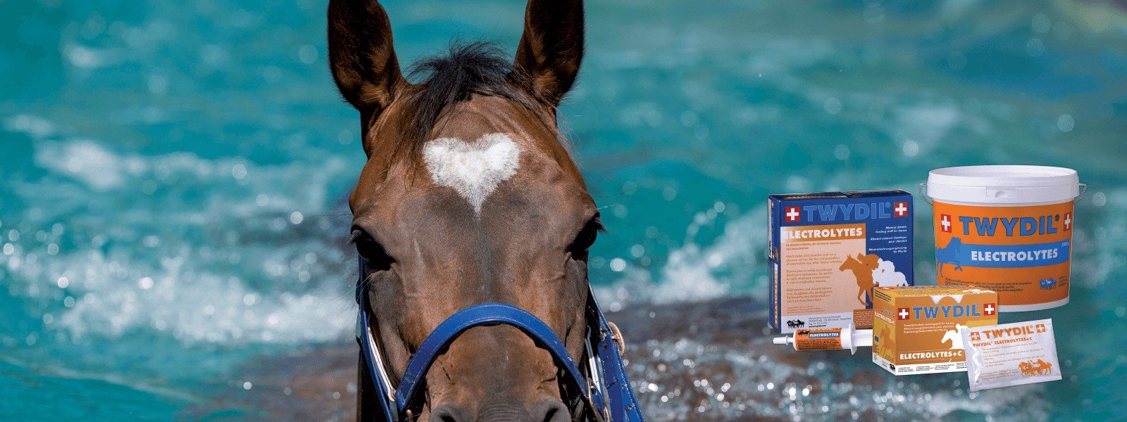 Cheval à la nage avec la gamme Twydil Electrolytes