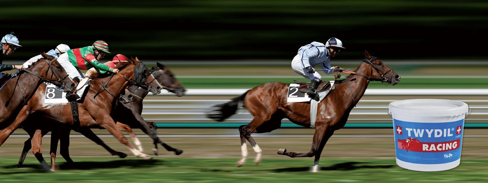Course de galop en pleine action, avec un seau Twydil Racing en incrustation