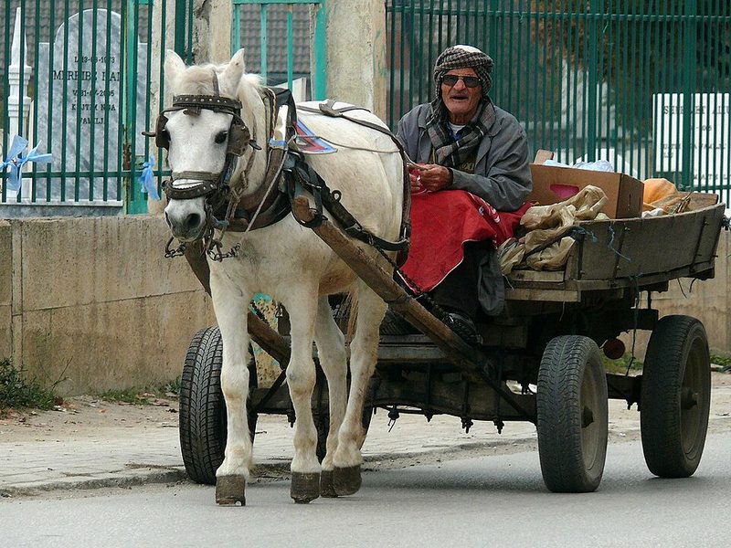 Albanian