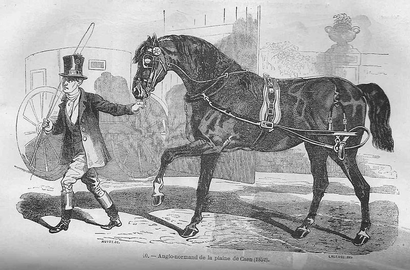 Anglo-Norman