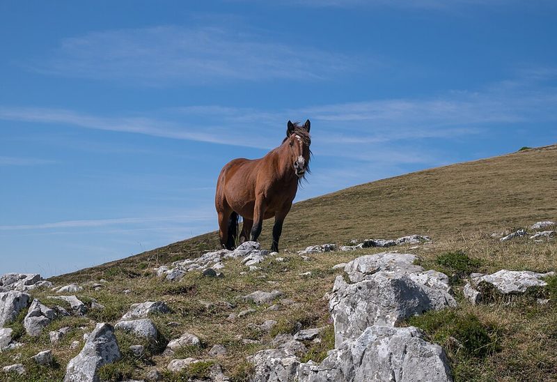 Basque Mountain